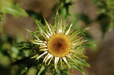 BUITEN BEELD Foto: 137582