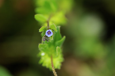 BUITEN BEELD Foto: 137599