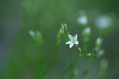 BUITEN BEELD Foto: 137600