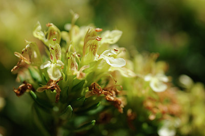 BUITEN BEELD Foto: 137620