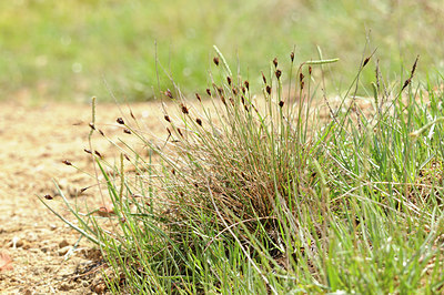 BUITEN BEELD Foto: 137641