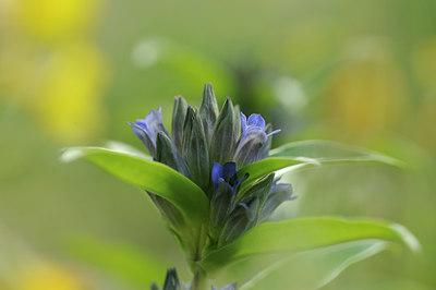 BUITEN BEELD Foto: 137642