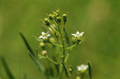 BUITEN BEELD Foto: 137648