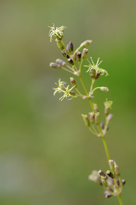 BUITEN BEELD Foto: 137650