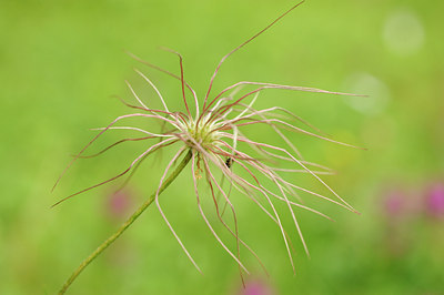 BUITEN BEELD Foto: 137653