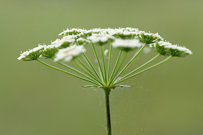 BUITEN BEELD Foto: 137655