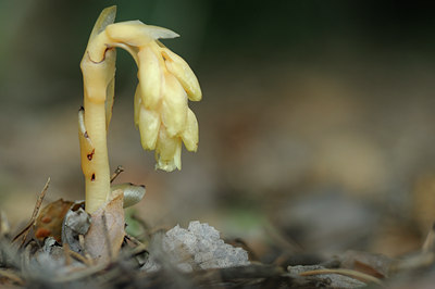 BUITEN BEELD Foto: 137657
