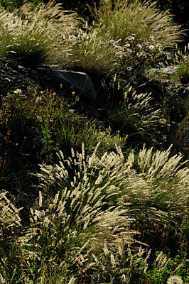 BUITEN BEELD Foto: 137661