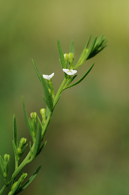 BUITEN BEELD Foto: 137662