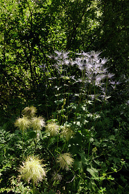 BUITEN BEELD Foto: 137673