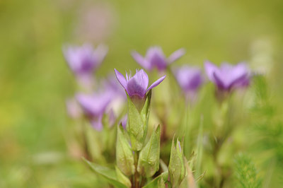 BUITEN BEELD Foto: 137732