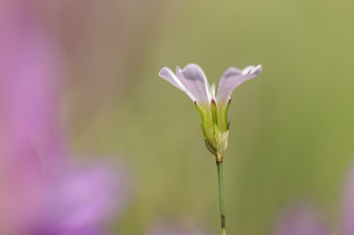 BUITEN BEELD Foto: 137733