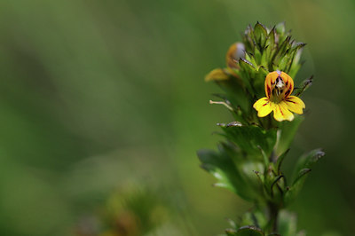 BUITEN BEELD Foto: 137741