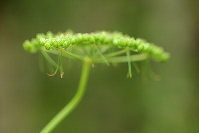 BUITEN BEELD Foto: 137748