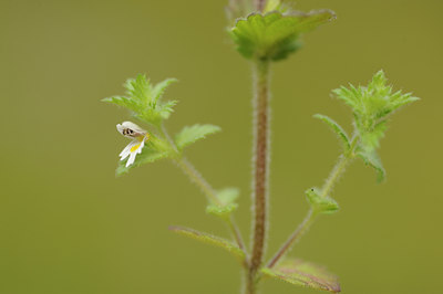 BUITEN BEELD Foto: 137755