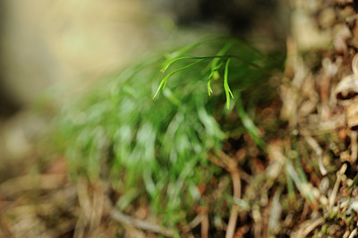 BUITEN BEELD Foto: 137778