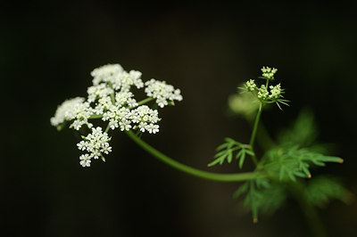 BUITEN BEELD Foto: 137780