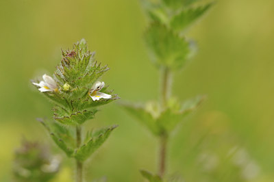 BUITEN BEELD Foto: 137785