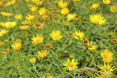 BUITEN BEELD Foto: 137800