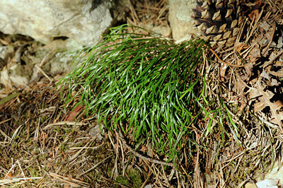 BUITEN BEELD Foto: 137805