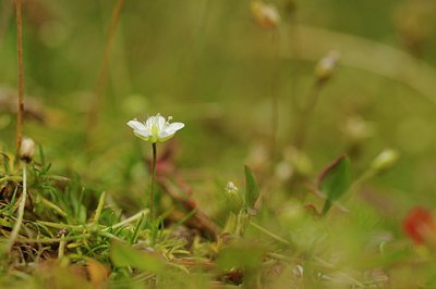 BUITEN BEELD Foto: 137807