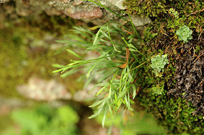 BUITEN BEELD Foto: 137825