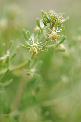 BUITEN BEELD Foto: 137842