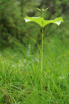 BUITEN BEELD Foto: 137848