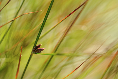 BUITEN BEELD Foto: 137851