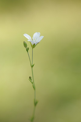 BUITEN BEELD Foto: 137863