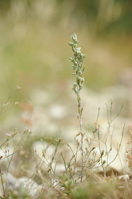 BUITEN BEELD Foto: 137887