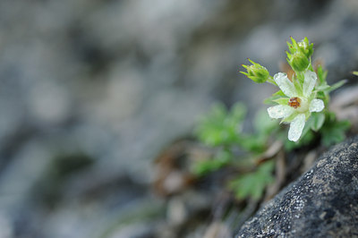 BUITEN BEELD Foto: 137893