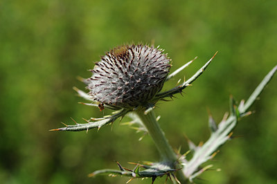 BUITEN BEELD Foto: 137928