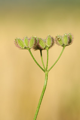 BUITEN BEELD Foto: 137935