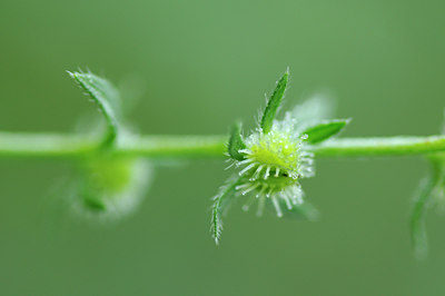 BUITEN BEELD Foto: 137937