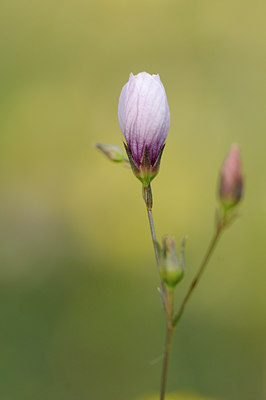 BUITEN BEELD Foto: 137940