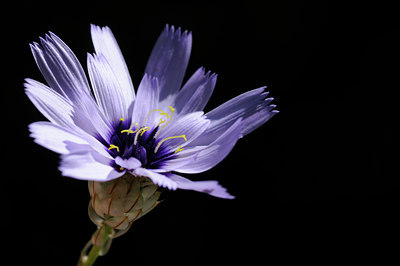 BUITEN BEELD Foto: 137953