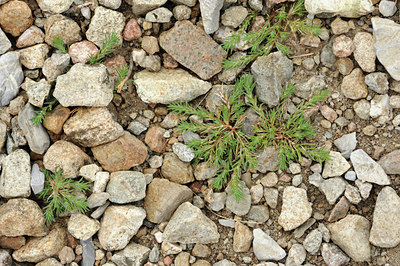BUITEN BEELD Foto: 137954