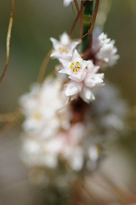 BUITEN BEELD Foto: 137957
