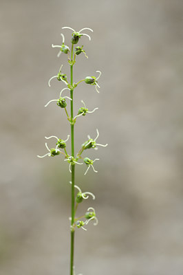 BUITEN BEELD Foto: 137971