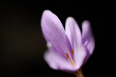 BUITEN BEELD Foto: 137996