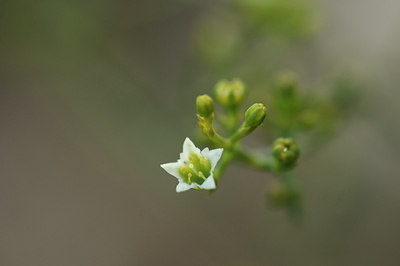 BUITEN BEELD Foto: 138006