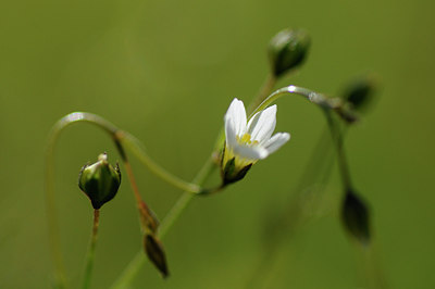 BUITEN BEELD Foto: 138017