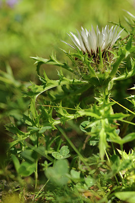 BUITEN BEELD Foto: 138019