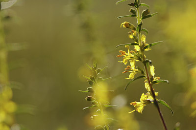 BUITEN BEELD Foto: 138034