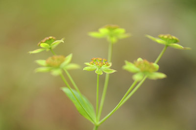 BUITEN BEELD Foto: 138036