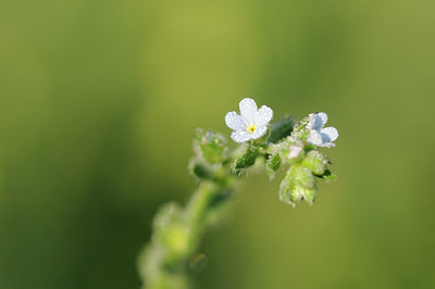 BUITEN BEELD Foto: 138049