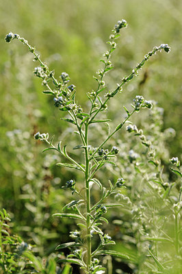 BUITEN BEELD Foto: 138054