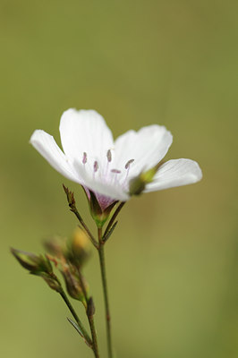 BUITEN BEELD Foto: 138057