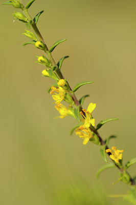 BUITEN BEELD Foto: 138058